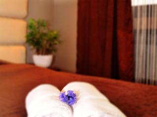 Hotel Petrus - Paraćin - 6