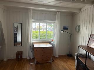 Near Nature, Sauna & Downtown - Stavanger - 0