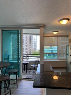 Live like a king in Chicago - Chicago - 6