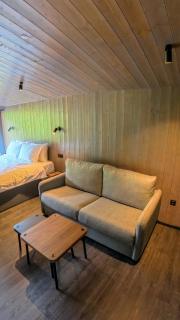 Ginger Cabins - Žabljak - 7