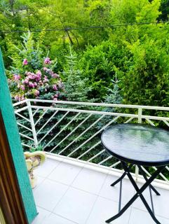 House Sarajevo - Sarajevo - 9