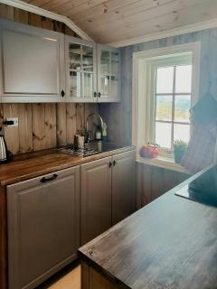 Fantastic View Cabin In Peaceful Blefjel - Lampeland - 3