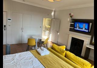 London Central Studio Apartment - Londra - 3