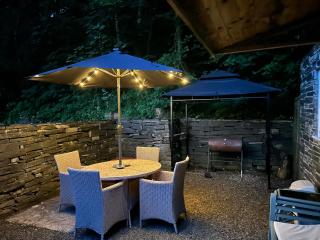 Milkwood Cottage - Corwen - 8