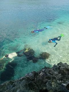 Risen Raja Ampat - Pulau Birie - 6