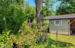 Cozy Home In Oosterwolde With House Sea View - Oosterwolde - 2