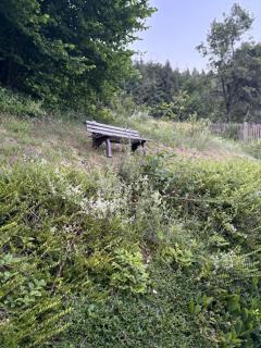 Ganze Haus & Sonnenhang - 2