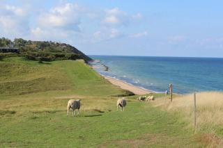 Family Holiday Home With Hidden Garden Spots - Vejby - 2