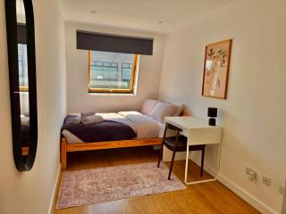 Charming Cambridge Apartment Retreat - Cambridge - 9