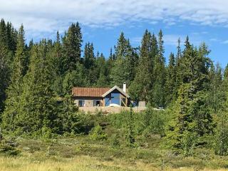 Peaceful Cabin By Rødungen - Ål - 5