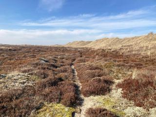 Settle In Dunes And Sand Near Skagen - Skagen - 2