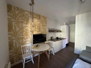 Moms house - Golubac - 8