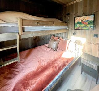 Family Cabin With Ski-In-Ski-Out In Trysil - Trysil - 2