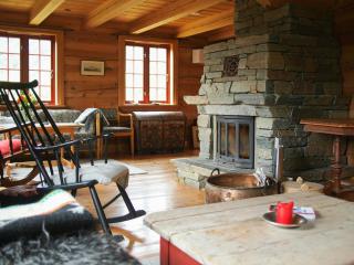 Cabin With Wooden Interior By Lake Tinnsjøen - Atra - 3