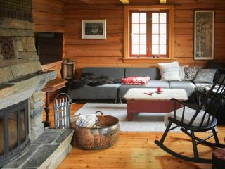 Cabin With Wooden Interior By Lake Tinnsjøen - 2