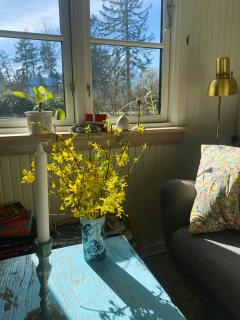 Charming Summer House On Orø With Natural Plot - Holbæk - 4