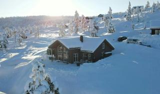 Modern Family Cabin By Gautefall Ski Trails - 0