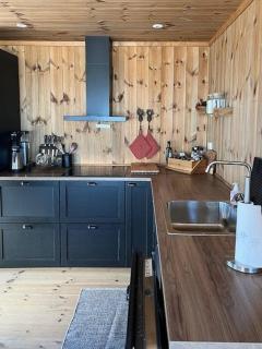 Modern Family Cabin By Gautefall Ski Trails - 6