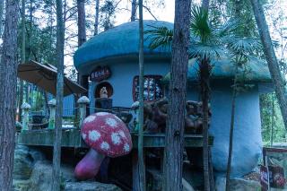 Zhangjiajie Xiongfeng Art Park Forest Appointment Bed and Breakfast - Zhangjiajie - 1