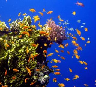 hassany hotel - Hurghada - 4