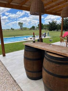 La Viña del Salado - 3