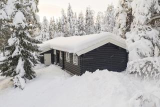 Cabin With Panoramic Views Over Trysil - Trysil - 8