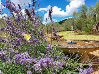 Authentic Stone House Overlooking Les Baux-De-Provence - 3