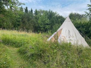 Small Forest Cabin Near Vejby Beach - Vejby - 4