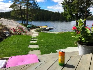 Have An Active Cabin Stay By Ljøstadtjernet - Vegårshei - 3