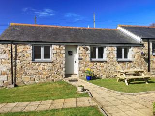 Elm - 31304 - Porthtowan - 0