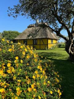 Half-Timbered House From 1894 With Wilderness Bath - Nysted - 0