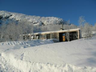 Architectural Gem With Ski-In Ski-Out In Hemsedal - Hemsedal - 5