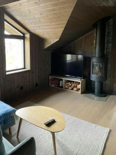 Spacious Mountain Cabin With Fantastic Views - Ål - 3