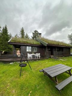 Mountain Cabin With Great Views - Austbygdi - 8