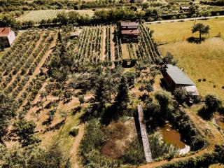 Holiday house with a parking space Mandicevac, Slavonija - 24644 - Drenje - 9