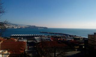 Sea La Vie - Cavala - 4