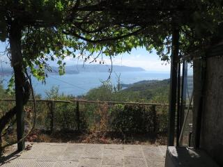 Casa vacanza PerlaBlu - Fezzano - 7