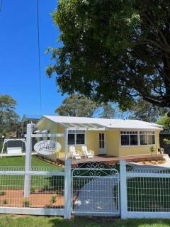 Daffodil on Owen - Huskisson - 0