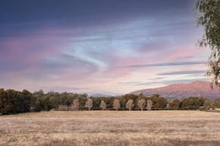 Highgrove Studio - in the Vineyards - 1