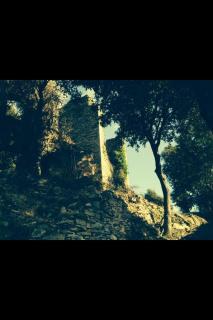 Village - San-Nicolao - 9