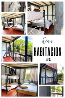 Cabaña oasis - Montenegro - 7