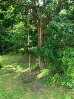 In Peace With Nature In Aesthetic Rosenly - Vig - 2
