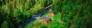 Forest Cabin By The River - Svarstad - 8