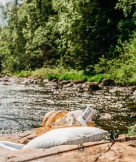 Forest Cabin By The River - Svarstad - 4