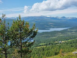 Modern Cabin With Panoramic View On Bringsfjellet - 3