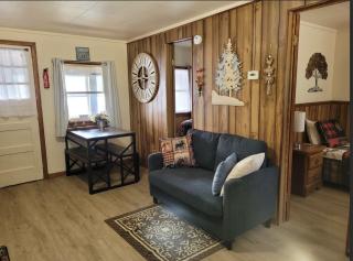 Castaway Cottage on Croton Pond #4 - Newaygo - 9