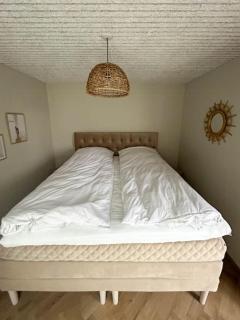 Enestående Sommerhus Direkte Ved Stranden - Middelfart - 1