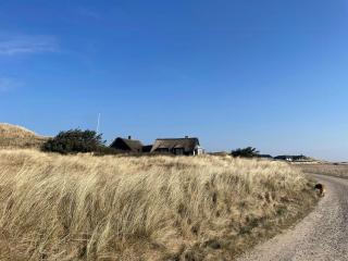 13,000 Sqm Nature Plot Right Down To The Beach - Ringkøbing - 0