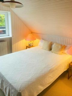 13,000 Sqm Nature Plot Right Down To The Beach - Ringkøbing - 5