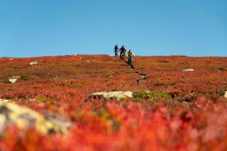 Family Cabin With Stunning Views At Sjusjøen - 7